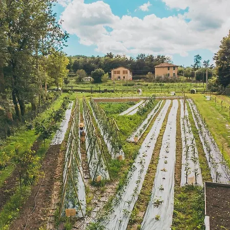 La Casa Del Mulino Hotel