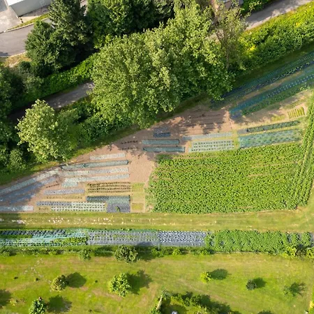 穆利尼奥之家酒店 3* 梅罗内