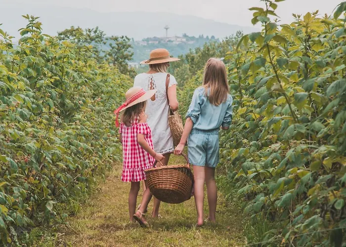 La Casa Del Mulino 3* Мероне