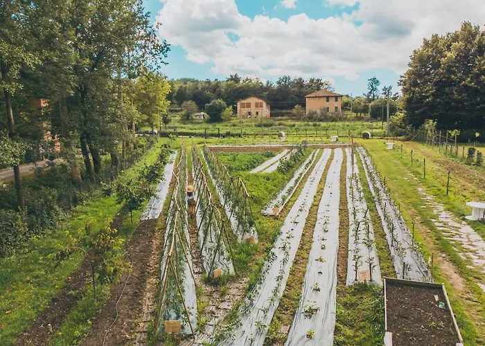 La Casa Del Mulino Отель