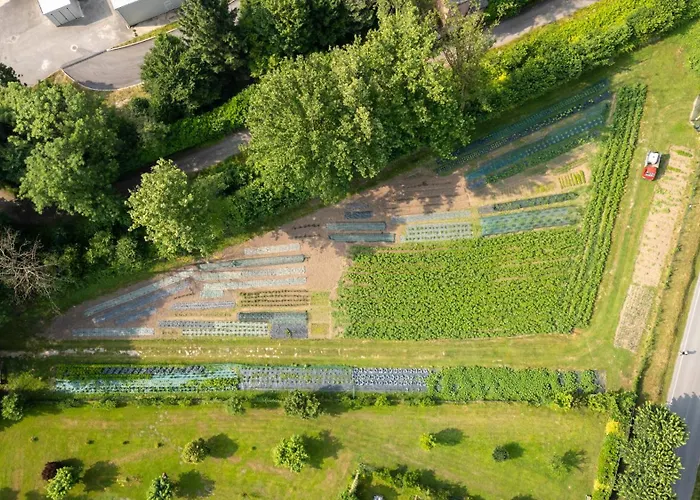 La Casa Del Mulino 3* Мероне