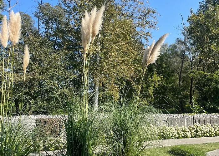 Hotel La Casa Del Mulino Merone