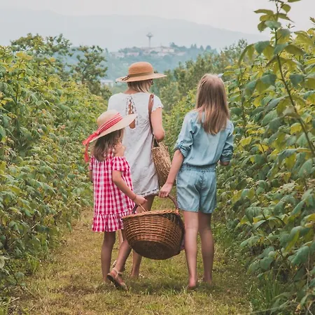 La Casa Del Mulino 3* Merone